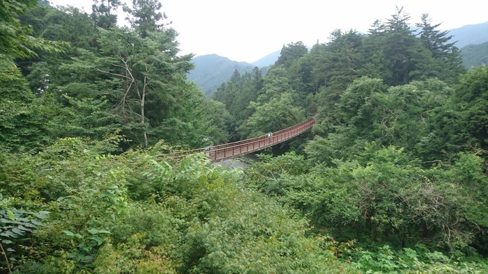 多摩川最大の支流「秋川」の、あきる野市網代付近から20kmほどに渡るエリアが秋川渓谷。春は桜、夏はバーベキュー、秋は紅葉狩りを楽しむ人で賑わいます。いくつもある橋のなかで、こちらの石舟橋は紅葉狩りのベストスポットです。