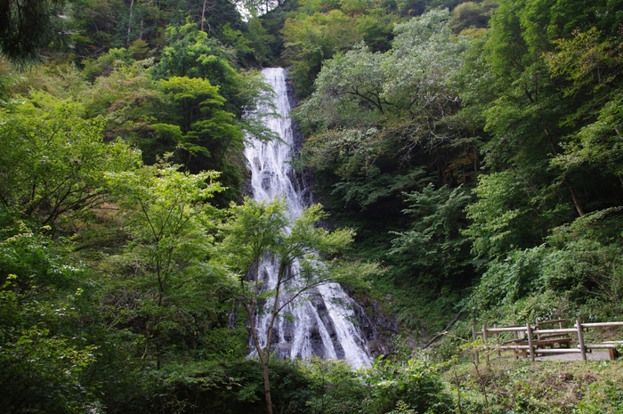 滝は3段になっていて、1段目の落差が12m、2段目が14m、3段目が50m、全体で約76mもあります。江戸時代後期の文化・文政期に書かれた「新編武蔵風土記稿」で“滝が多い秩父でもこれほど景観のよいものはない”と紹介されるほど、その美しさを誇ります。