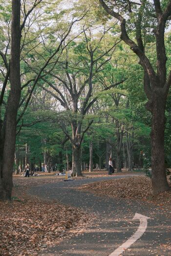 代々木公園で遊び疲れたら。「代々木上原」「代々木八幡」のおすすめカフェ