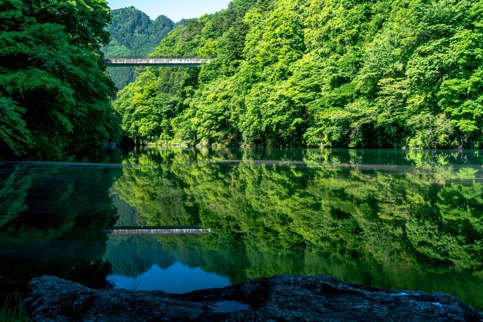関東近郊の森林浴スポット12選｜マイナスイオンを浴びて癒されよう