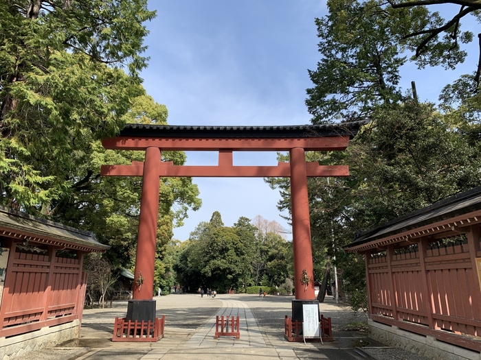 買い物客でにぎわう駅前から離れて、少し足をのばせば、氷川神社や大宮公園など、都会のオアシス的なスポットも。駅前の成り立ちかたもユニークで、大型商業施設で賑わう西口と昔ながらの個人商店が立ち並ぶ東口エリア、それぞれ違った表情を楽しめます。