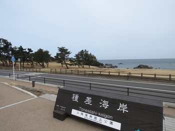 種差海岸駅からも歩いてこれるので、観光客にも大人気。
日本を代表する文人たちも愛していた風景を、現在も楽しむことができます。