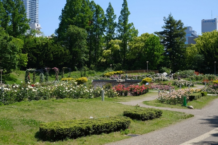 天気がいい日はテイクアウトして公園へGO！大阪『中之島公園＆靭公園』周辺のおすすめ店