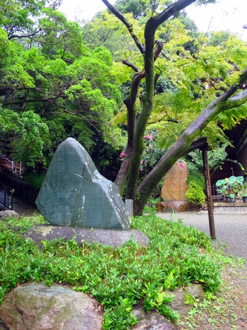 新緑の時期の深大寺境内は、美しい緑が楽しめます。