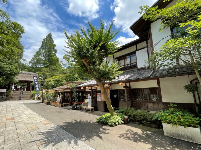 深大寺行きのバスは、JR中央線では吉祥寺駅と三鷹駅から、京王線では調布駅とつつじヶ丘駅から出ています。以下の「ちょうふどっとこむ」のサイトで、おそば屋さんを中心とした深大寺周辺地図のファイルがダウンロードできますよ。