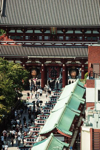 台東区の「浅草」や「上野」は、古き良き江戸の名残が残る下町エリア。風情豊かな街散策を楽しめる一方で、東京を代表するランドマークやアカデミックな名所も数多く揃っています。東京駅から上野駅まではJRで約5分の距離にあるので、東京に到着してまず最初に遊びに行くエリアとしてもおすすめですよ。