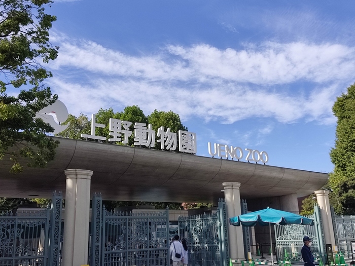 広大な上野恩賜公園の一角にある「上野動物園」は、日本で最も歴史のある動物園。豊かな自然の中でのんびりと過ごしながら、多彩な動物たちに出会えます。小動物とふれあえる体験をはじめ、お子さんが楽しめるイベントも充実しており、家族でのおでかけにもぴったりのスポットです。