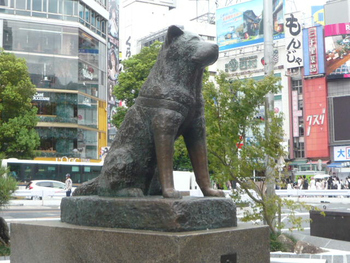 亡くなった飼い主の帰りをひたすら待ち続けたという切ない実話で知られる「忠犬ハチ公」。その姿をかたどったハチ公像は、JR渋谷駅ハチ公口のすぐ目の前にあります。言わずと知れた定番の待ち合わせスポットです。