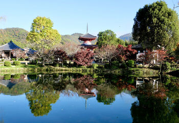 大覚寺の境内は広く、様々な風景を楽しむことが可能です。社殿や障壁画を順に眺めているだけでも、ゆったりと穏やかな時間が過ごせます。

写経体験としては、大覚寺では「写経法会」が行われています。こちらの参加は大覚寺「心経会」会員になることが条件です。写経法会では説法が拝聴でき、またどうしてもお寺に行くことが叶わない方のために「自宅写経」の支援も行っています。