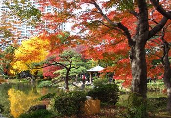 東京都千代田区にある都立公園「日比谷公園」。銀座や霞ヶ関に近いのにも関わらず、161,636.66平米もの広々とした公園内には、日比谷図書文化館、日比谷公会堂や大小の野外音楽堂、テニスコートなどがあります。