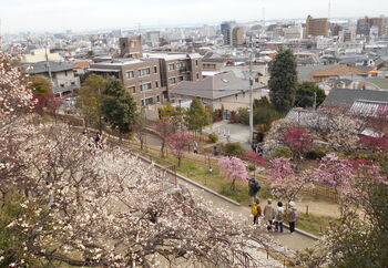 神戸市東灘区、美しい色合いが魅力の阪急電車に揺られたどり着くと、ほどよい賑わいが迎えてくれる街「岡本」。
住宅街のこじんまりとした街並みに、六甲山が背後から迫り、自然が身近を感じながら、のんびりとした時間が流れます。
阪急神戸線岡本駅からJR摂津本山駅周辺は、雑誌などでもよく取り上げられ、美味しいパン屋さんや雑貨店が並び、歩き進むと入ってみたいカフェがいくつも現れます。今回は、神戸市民も憧れるという「岡本」を、ご紹介していきますね♪

