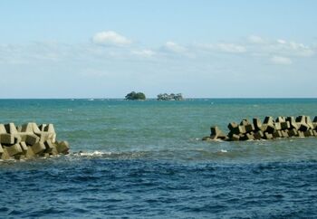 夜明け前の虻が島。
静かで仄明るく、そして少しひやりとした空気が想像できます。こうした自然の営みを見られるのも島の魅力の一つ。