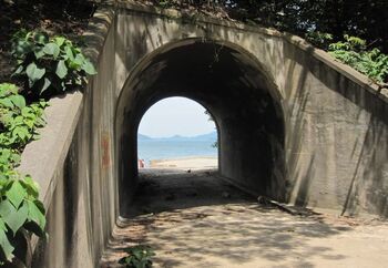 【大久野島】
こちらも現在は無人島。
そんな大久野島を遠目から。
あの小さな島には、いろんな歴史とうさぎが詰まっています。