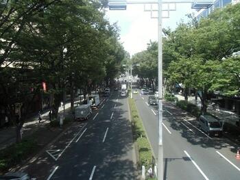 JR原宿駅から東京メトロ表参道駅までは徒歩約10分。通りには美しいケヤキ並木が続き、大型商業施設やおしゃれなショップ、カフェなどが軒を連ねます。また、冬はイルミネーションがきれいな場所としても有名です。