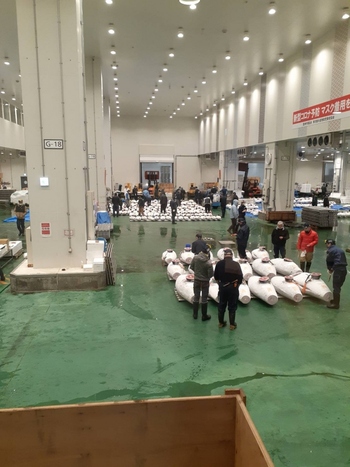 「豊洲市場」と「築地場外市場」はバスで約12分の距離。一般の観光客も見物できる"マグロの競り"は早朝5時半頃から始まるので、豊洲市場を見て周った後に場外市場で朝ごはんというスケジュールもおすすめです。豊洲市場も水曜・日曜のお休みが多いので、営業日を確認してからお出かけしましょう。