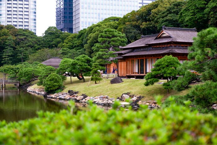 築地場外市場から徒歩約10分の場所にある「浜離宮恩賜庭園」。江戸時代に将軍家の別邸として使われていた庭園で、東京湾の海水を引いた「潮入の池」は都内唯一のものです。池を見渡す「中島の御茶屋」ではお抹茶も頂けます。