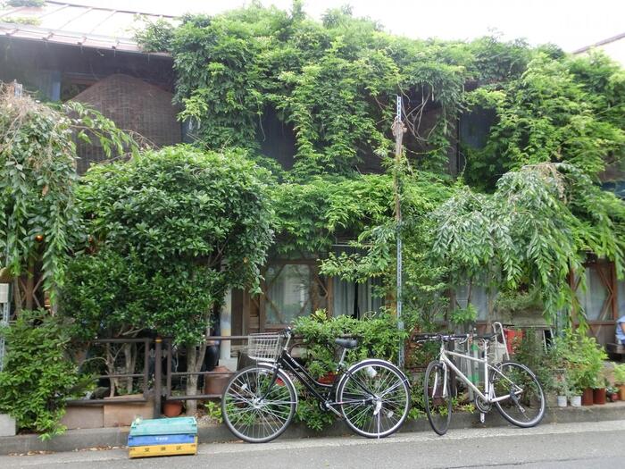 雰囲気いっぱいの扉は、フランス菓子屋さん「ル・クシネ」。イートインスペースはなくテイクアウトが主ですが、ベンチでいただくこともできます。