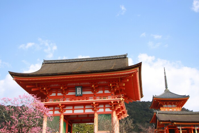 京都でも特に有名な清水寺なら、いくつかのお堂が集まっているので、それぞれの御朱印をいただけます。「西国三十三所観音霊場」「洛陽三十三所観音霊場」「法然上人二十五霊場」の札所でもあります。札所とは、お札を納めるお寺のことです。昔から参拝の際にお札を納めるという風習がありましたが、現在では参拝の印として御朱印をいただく形となっています。清水寺の各堂を巡って、御朱印を集めましょう!