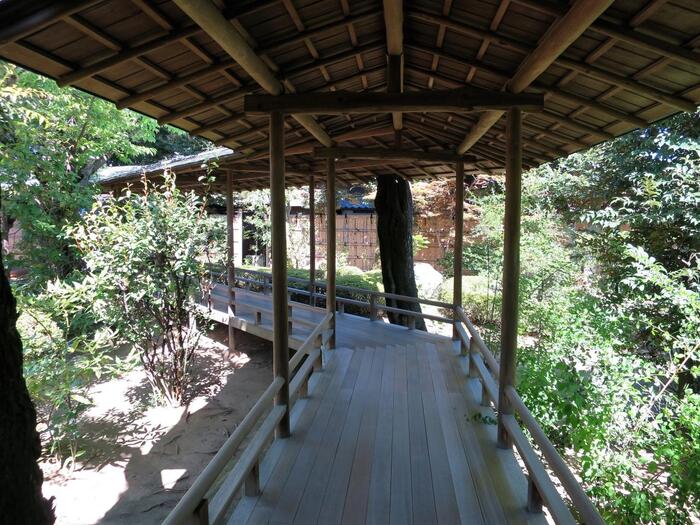 本殿の裏手にある日本庭園「邃渓園(すいけいえん)」。名造園師・永井楽山翁が、戦前から92歳で亡くなるまで心血を注いでつくりあげた美しい庭園が見どころ。園内には入れませんが、ぐるりと庭を囲むように回廊があるので、さまざまに景色が変わる眺めを堪能できます。(彫刻ギャラリーと共通の拝観料が必要です。)