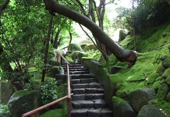 報国寺までのアクセスは鎌倉駅東口から鶴岡八幡宮方面へ歩き、そのまま金沢街道をすたすた歩く、約40分のお散歩コース。