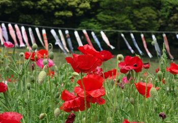 自然の中で過ごすひとときは、体や心をきっと癒してくれるハズ。もうすぐお花が美しく咲き誇る季節です。ハーブや色とりどりのお花を見に、気分も軽やかに出かけてみませんか♪
