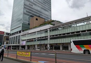 新宿駅の近くも見どころがたくさんあるので、帰り時間の直前まで思う存分観光が楽しめますよ。やっぱりおすすめは、新宿駅直結の複合施設NEWoMan!カフェで休憩しても良し、エキナカエリアでお土産を見て回っても良し◎です。