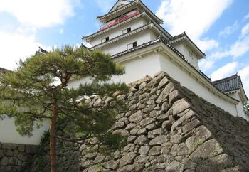 こちらは、リニューアル前の黒瓦の鶴ヶ城。地元では一般的に鶴ヶ城と呼ばれ、地元以外の方からは会津若松城と呼ばれることも多いそう。
また、さくらの名所百選の1つにも数えられる「鶴ヶ城公園」は、ソメイヨシノを始めとする約1000本の桜が咲く桜の名所でもあるのです。