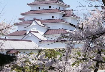 戊辰戦争で激戦地となった鶴ヶ城。今は立て直され、会津精神の象徴として人気のお城です。
2011年春に、天守閣の屋根瓦を幕末時代の赤瓦に代えてリニューアル。幕末の鶴ヶ城が蘇りました。赤い瓦のお城は日本唯一だそう。

新幕府軍に攻められて傷ついた会津城。遠く飯盛山から燃え盛る我が城を見て、白虎隊は自害を決意しました。