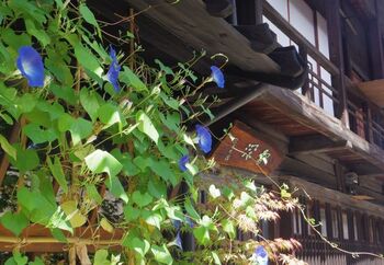 いかがでしたでしょうか？中山道のうち、長野～岐阜間にある木曽路最長の宿場町として栄えた「奈良井宿」。木曽路にはここ以外にも、他に10の宿場が集っています。ぜひ時間があるときは、旅人の足跡をたどって、ほかの宿場町跡にも立ち寄ってみるのもおすすめ。都会の喧騒から離れて、古きよき時代の雰囲気に浸る素敵な思い出をつくりませんか♪