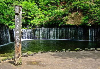 避暑地・軽井沢では、数年前から朝食ブームが続いているようです。東京から新幹線で約1時間で気軽に来られるとあって、朝早く軽井沢に到着し、優雅な朝食を楽しむ方が増えているとか。高原のおいしい空気の中で食べる焼き立てのパンや、地元でとれた新鮮な野菜をふんだんに使った朝食は絶品です。今回は、軽井沢でおいしい朝食が食べられるカフェやベーカリー・ホテルをご紹介します。