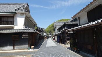 全国には「町並み保存地区」が数々ありますが、ここ竹原の町並みは切妻屋根や入母屋造りの屋根等、様々な建築様式が混在しているため変化に富み、落ち着いた中にも他所にはない独特の趣きがあります。

散策のメインは、保存地区を貫く“本町通り”ですが、小路も風情ある雰囲気。地区内に足を踏み入れれば、時が経つのを忘れてしまうはずです。