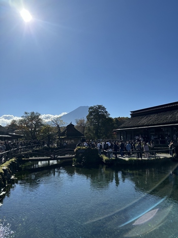 透き通る水が神秘的!「忍野八海」周辺のおすすめ観光&ランチスポット