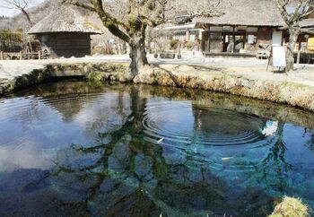 透き通る水が神秘的!「忍野八海」周辺のおすすめ観光&ランチスポット