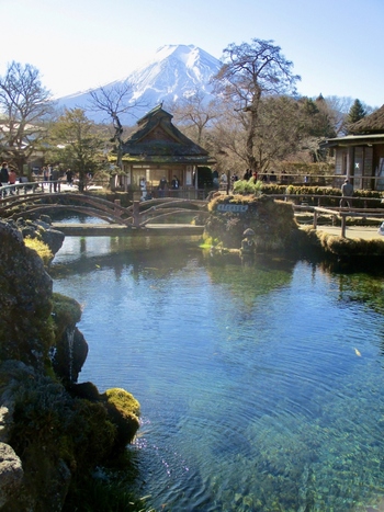 透き通る水が神秘的!「忍野八海」周辺のおすすめ観光&ランチスポット