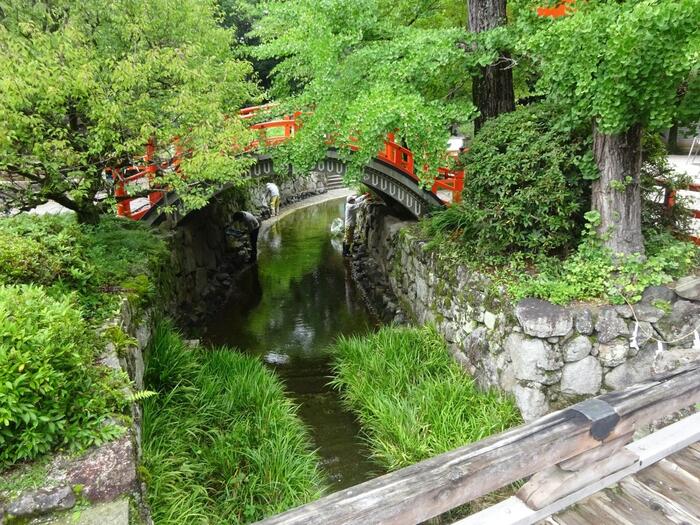 本殿はもちろんこと、府民の憩い場“糺の森”やみたらし団子発祥の池“御手洗池”。
また、縁結びの神様“相生社”や、女性の守護神“河合神社”、縁結びの象徴“連理の賢木”や、愛らしい御守を並べる授与所、京都ならではの甘味が頂ける休憩処等など、広い境内に散在しています。