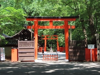 「河合神社」は「下鴨神社」の摂末社。正式名称は、「鴨川合坐小社宅神社（かものかわいにいますおこべそじんじゃ）」といいます。表参道に入ってすぐ左手、糺の森の南西に位置しています。