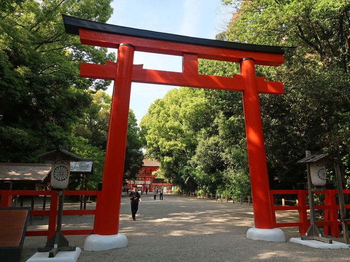 京文化や風情に触れるのなら、観光スポットを駆け巡るより、気になった場所へ赴き、周辺も含めてゆったりと過ごすのがお勧めです。

「下鴨神社」は古代からの森に抱かれた癒やしのスポット。自然を含めた偉大なる文化遺産です。京都を訪れる時は、ぜひ足を運んでみましょう。