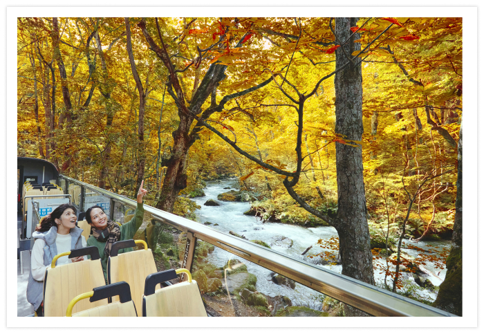 「渓流オープンバスツアー」では、高さ3メートルの2階建てバスから、紅葉をすぐそばで感じられます。日差しが渓流に差し込み、木々が黄金色に輝く時間帯には、渓流コンシェルジュが最も美しく望める座席へご案内。黄金の森を走り抜ける爽快感と、360度に広がる絶景を存分に味わいましょう。