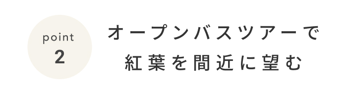 《今週の旅だより》ひと足早く、秋の旅支度を。奥入瀬で紅葉のおこもりステイ