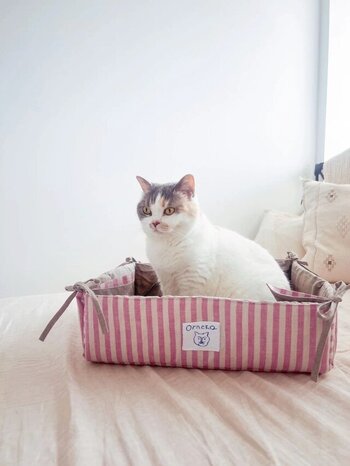 オルネコとfog linen workがコラボした猫用ベッド。柄と無地のリバーシブル仕様で、リボンをほどけばマットとしても使える2way設計。四隅のリボンがおしゃれなアクセントです。