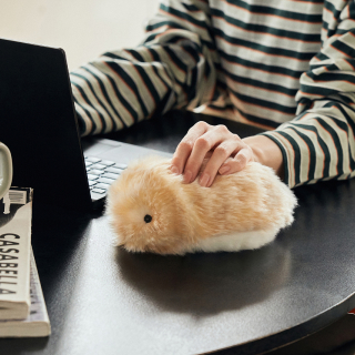 飼い主さんに聞きました。AIペットのいる新しい暮らしとは？