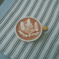slowlife