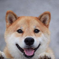 koma