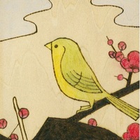 こうめ