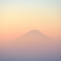 白いご飯と一緒が嬉しいね♪キムチにたくあん、ぬか漬けまで「漬物 